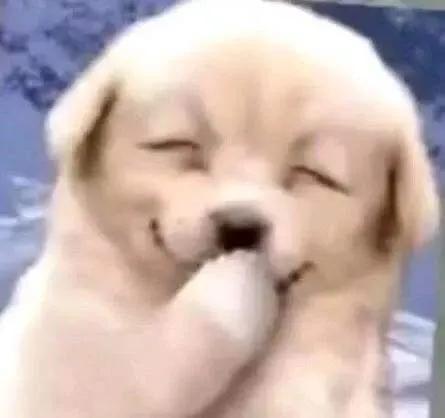十则笑掉大牙的搞笑段子，大家快点进来一起笑啊-4.jpg