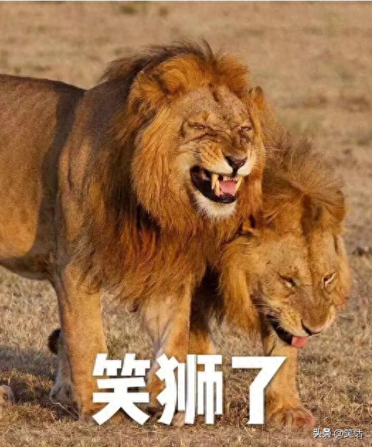 12个最新笑话段子大合集！最好笑的梗毫无悬念-1.jpg