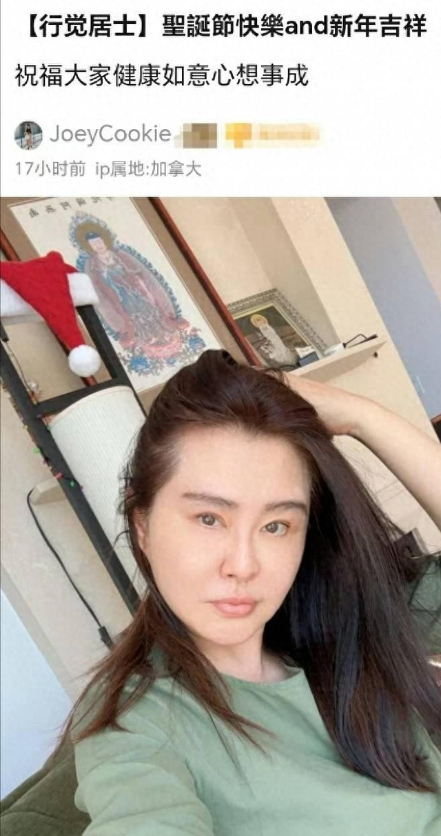不工作不拍戏，在温哥华住16年的王祖贤，她的收入都是从何而来？-7.jpg