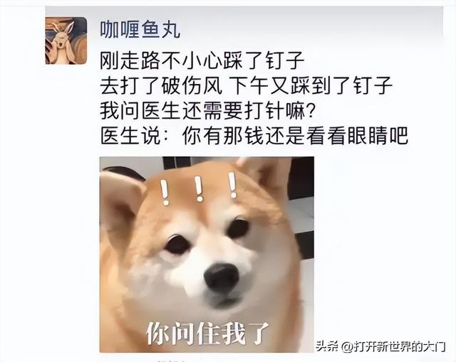 20张能把人笑飞的搞笑图片，请原谅我这一生放荡不羁笑点低-3.jpg