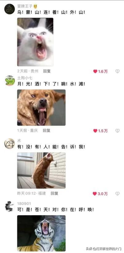 20张能把人笑飞的搞笑图片，请原谅我这一生放荡不羁笑点低-20.jpg