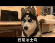 哈哈大笑，搞笑动图，你能看到第几张保持不笑，此门为谁开？-28.jpg