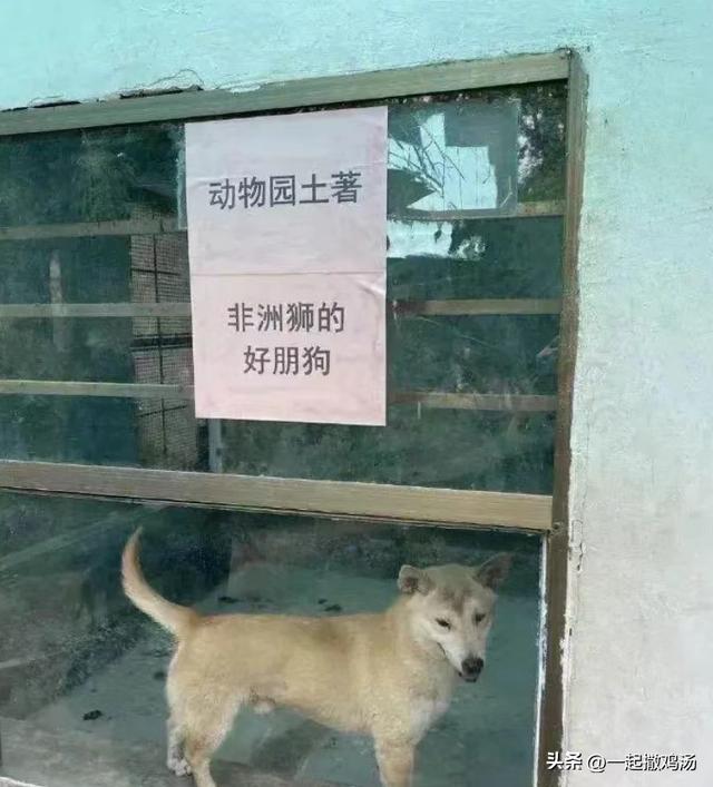 哈哈大笑，搞笑动图，不小心手滑，纸巾越滚越远-51.jpg