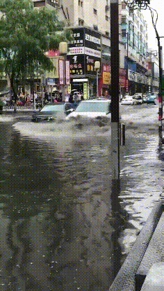 哈哈一笑，搞笑动图，这条路应该挺贵啊-12.jpg