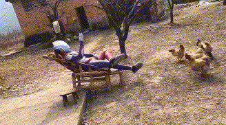 哈哈一笑，搞笑动图，这条路应该挺贵啊-17.jpg