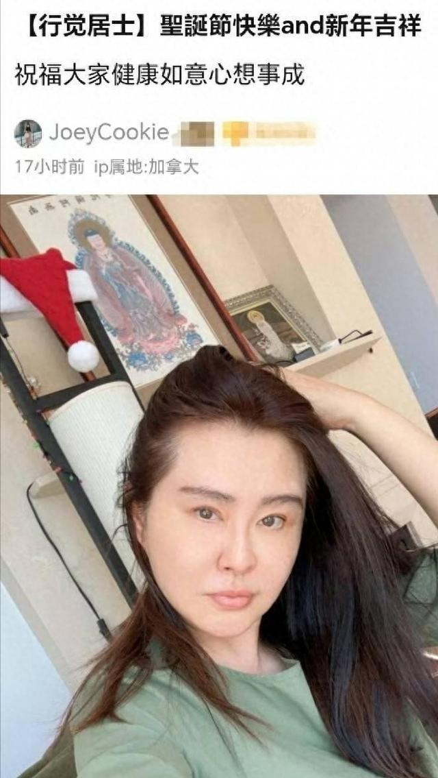 不工作不拍戏，在温哥华住16年的王祖贤，巨额收入是从何而来？-2.jpg