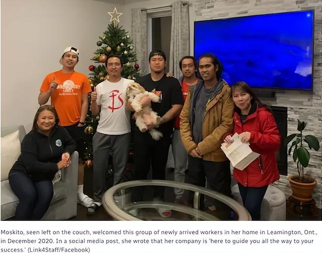 无良职介所专坑老乡，加拿大移民梦碎！欠下一屁股债，无家可归-8.jpg
