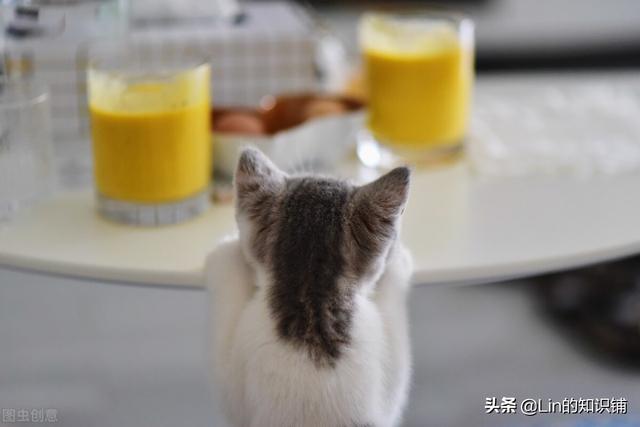 12个趣味冷知识：真实有趣却很少有人知道，还能帮你涨知识-2.jpg