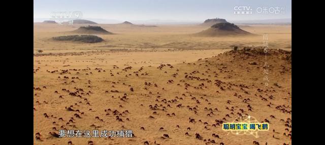 动物世界-2.jpg