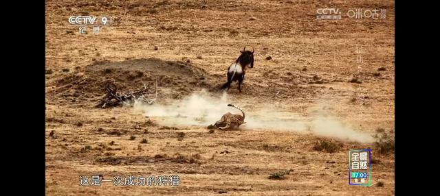 动物世界-5.jpg