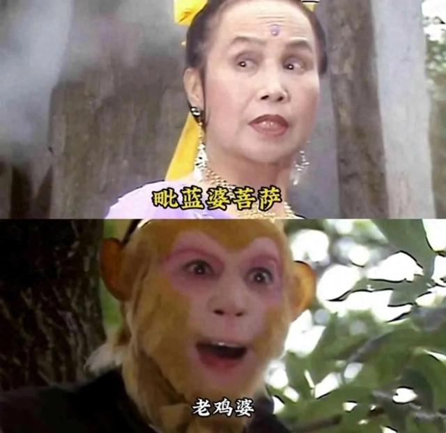 那些笑屎人的沙雕搞笑梗图-1.jpg