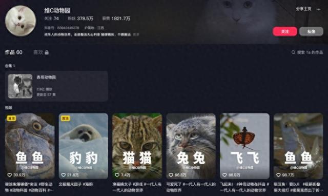 “00后”接管《动物世界》？网友：又怪又爱看-1.jpg