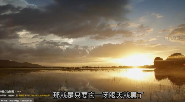 “00后”接管《动物世界》？网友：又怪又爱看-2.jpg