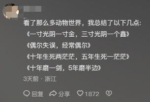 “00后”接管《动物世界》？网友：又怪又爱看-5.jpg