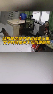 笑一笑，50张搞笑动图：发工资了，来只鸭子补补，就是有点小！-19.jpg