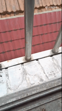 笑一笑，50张搞笑动图：发工资了，来只鸭子补补，就是有点小！-20.jpg