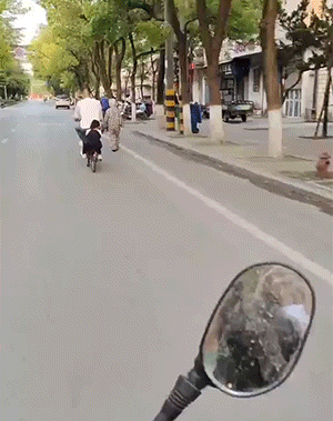 笑一笑，50张搞笑动图：发工资了，来只鸭子补补，就是有点小！-32.jpg