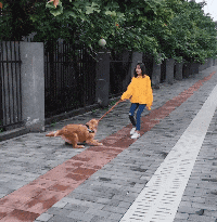 笑一笑，50张搞笑动图：你知道这是什么成语吗？-39.jpg