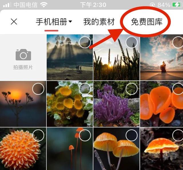 今天我总算找到了，原来在今日头条里隐藏着一个海量的免费图库-4.jpg