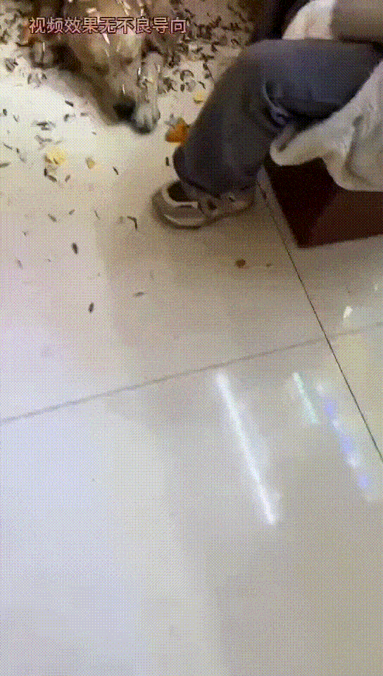 搞笑段子爆笑笑话幽默：一看就哇塞的搞笑句子-6.jpg