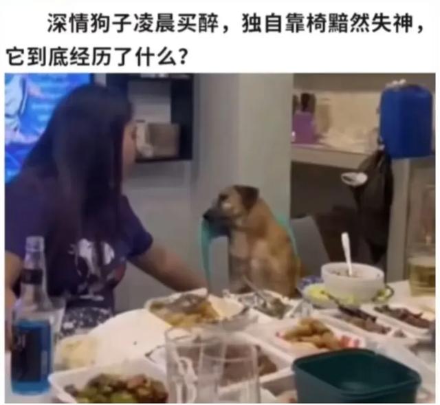 搞笑段子爆笑笑话幽默：一看就哇塞的搞笑句子-7.jpg