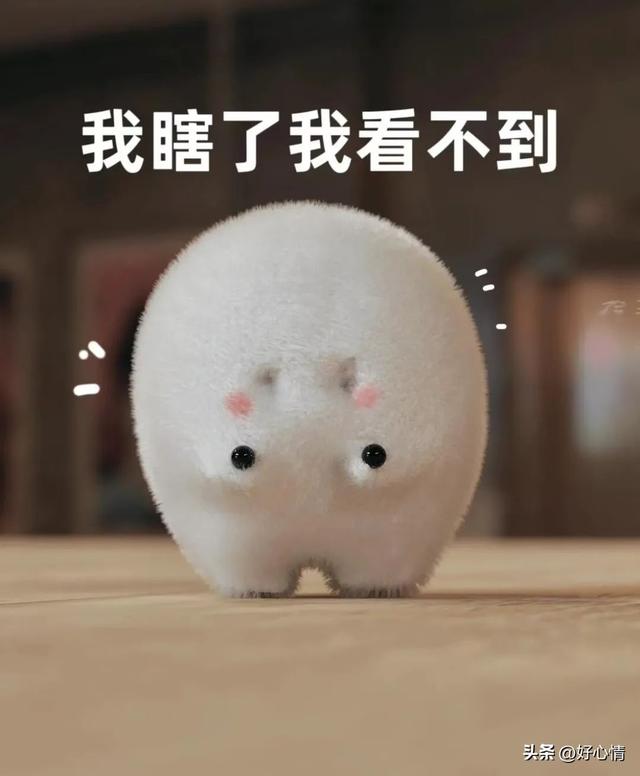 1000%笑出眼泪的爆梗搞笑句子-2.jpg