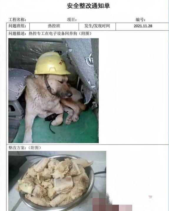 20张让人笑得肚子疼的搞笑图片，请原谅我这一生放荡不羁笑点低-7.jpg