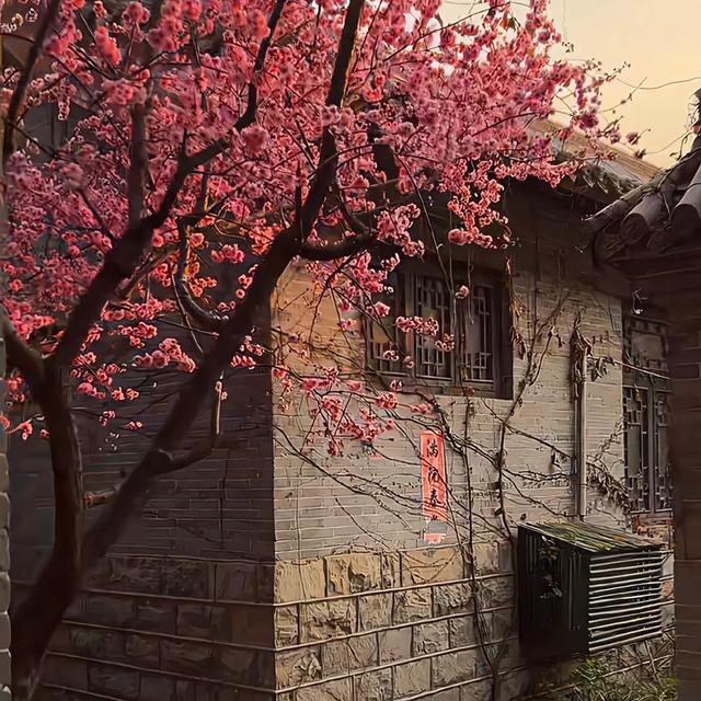 头条背景壁纸-5.jpg
