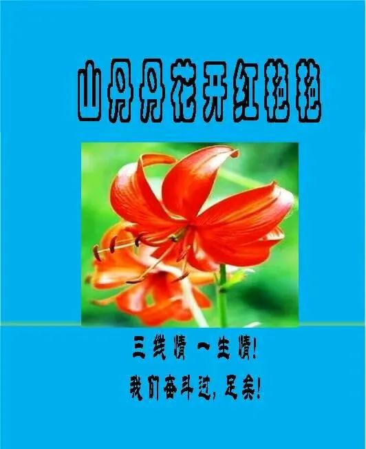 头条＃让我和老战友相遇＃-3.jpg