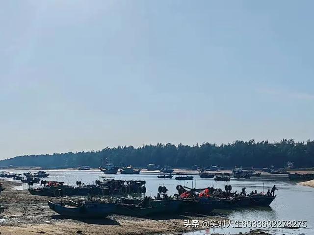 今日头条爆款文章（情感散文）：浪迹天涯，心不一日不在故乡游走-2.jpg
