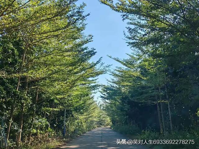 今日头条爆款文章（情感散文）：浪迹天涯，心不一日不在故乡游走-3.jpg