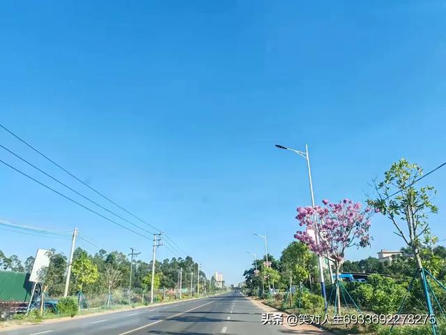 今日头条爆款文章（情感散文）：浪迹天涯，心不一日不在故乡游走-8.jpg
