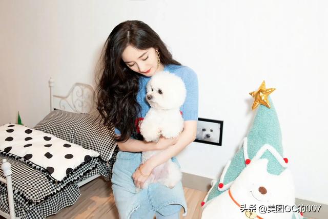 明星图片杨幂-16.jpg