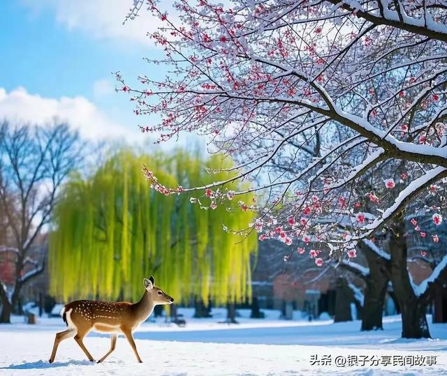 今日头条爆款文章:领悟人生中生命的真谛-5.jpg