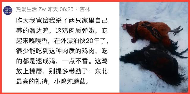 除夕了，一起吃点好的？｜条友这一周-3.jpg