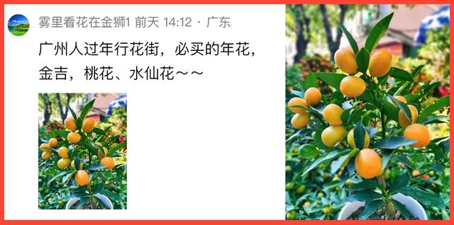 除夕了，一起吃点好的？｜条友这一周-11.jpg