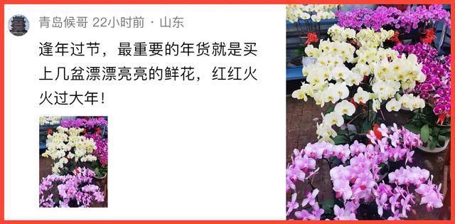除夕了，一起吃点好的？｜条友这一周-14.jpg