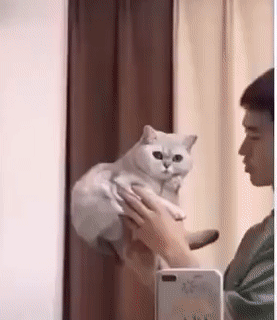 16组搞笑动图，被发现了，真尴尬-8.jpg