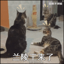 16组搞笑动图，被发现了，真尴尬-16.jpg