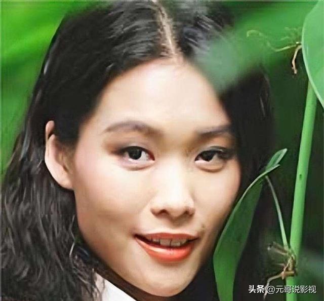 九位明星的浮沉人生：聚光灯下的泪与笑-6.jpg