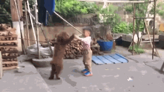 16组搞笑动图，感觉，他慌了，他慌了……-12.jpg