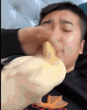 16组搞笑动图，感觉，他慌了，他慌了……-14.jpg