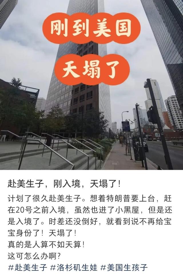 特朗普行政令被法官拦下，赴美生子隐忧仍存，加拿大成香饽饽？-10.jpg