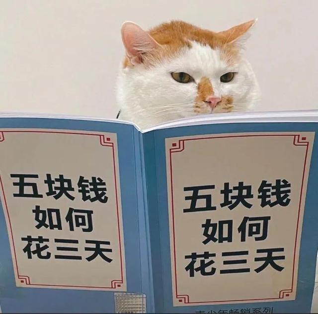 笑到断气！这些搞笑文案太“刑”了-4.jpg