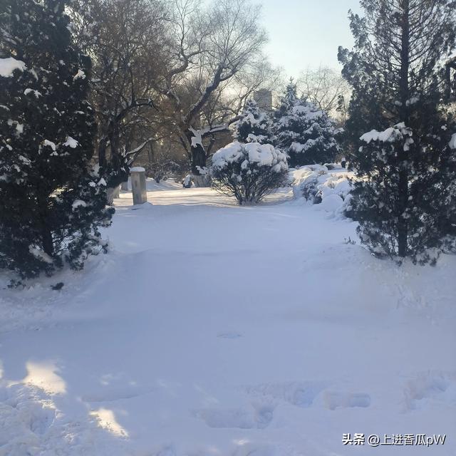 头条中的烦恼-1.jpg