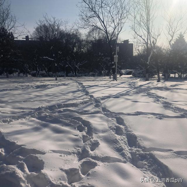 头条中的烦恼-2.jpg