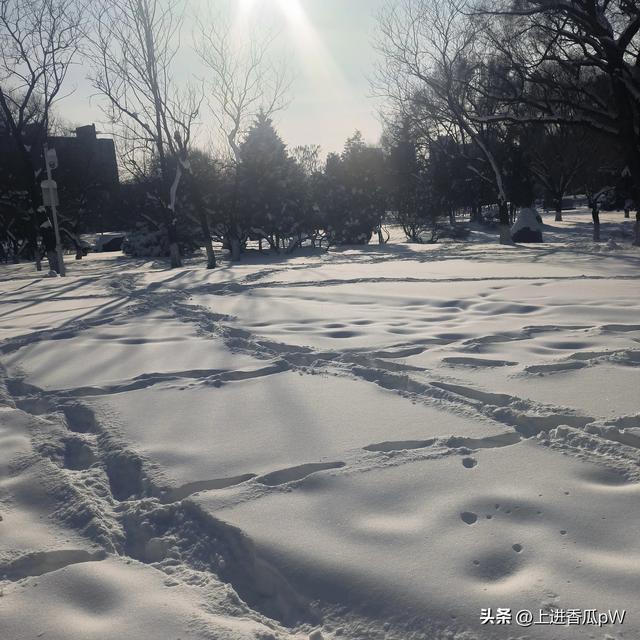 头条中的烦恼-3.jpg