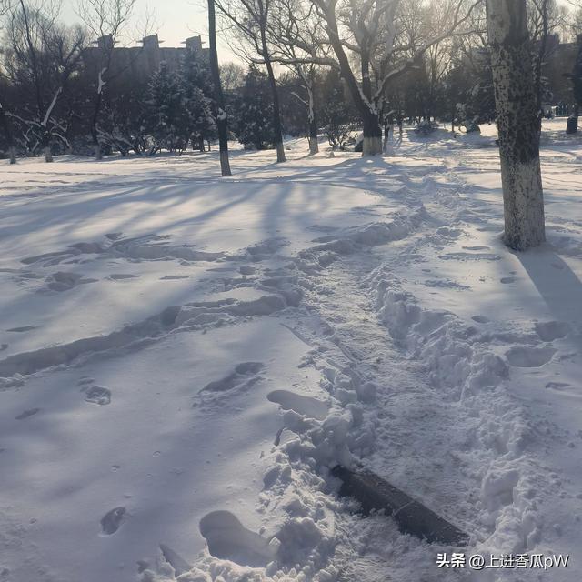 头条中的烦恼-4.jpg
