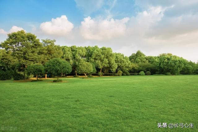 头条文章标题的5个“小心机”，你用好了，天天都是爆款-6.jpg