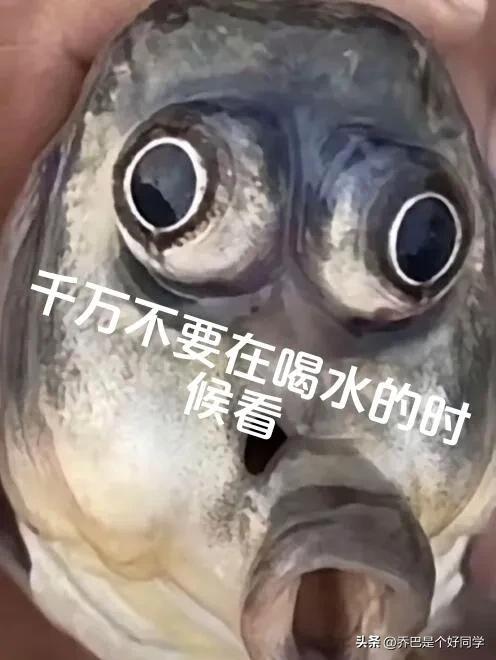 盘点那些沙雕的搞笑图片，太搞笑了-2.jpg